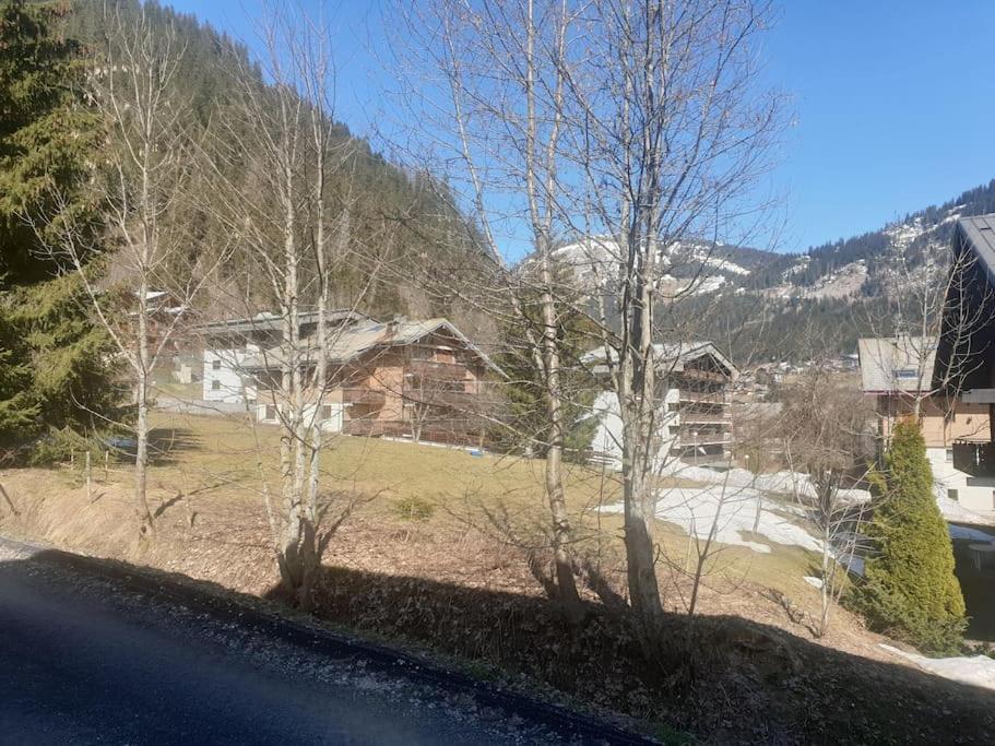 Appartement Pour 4 Personnes Au Pied Des Pistes Châtel Eksteriør billede